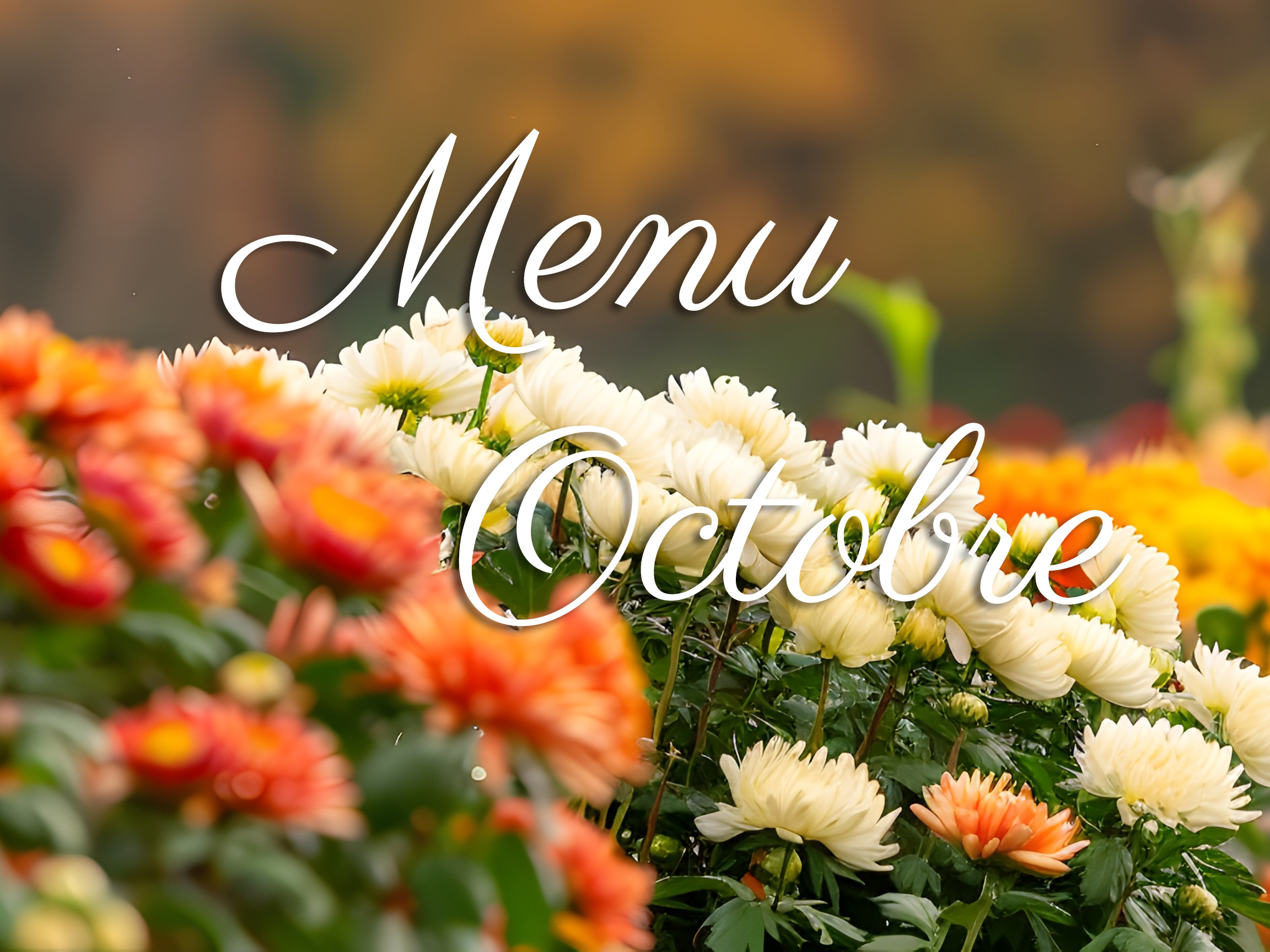 Lire la suite à propos de l’article Le nouveau menu du mois d’octobre est en ligne