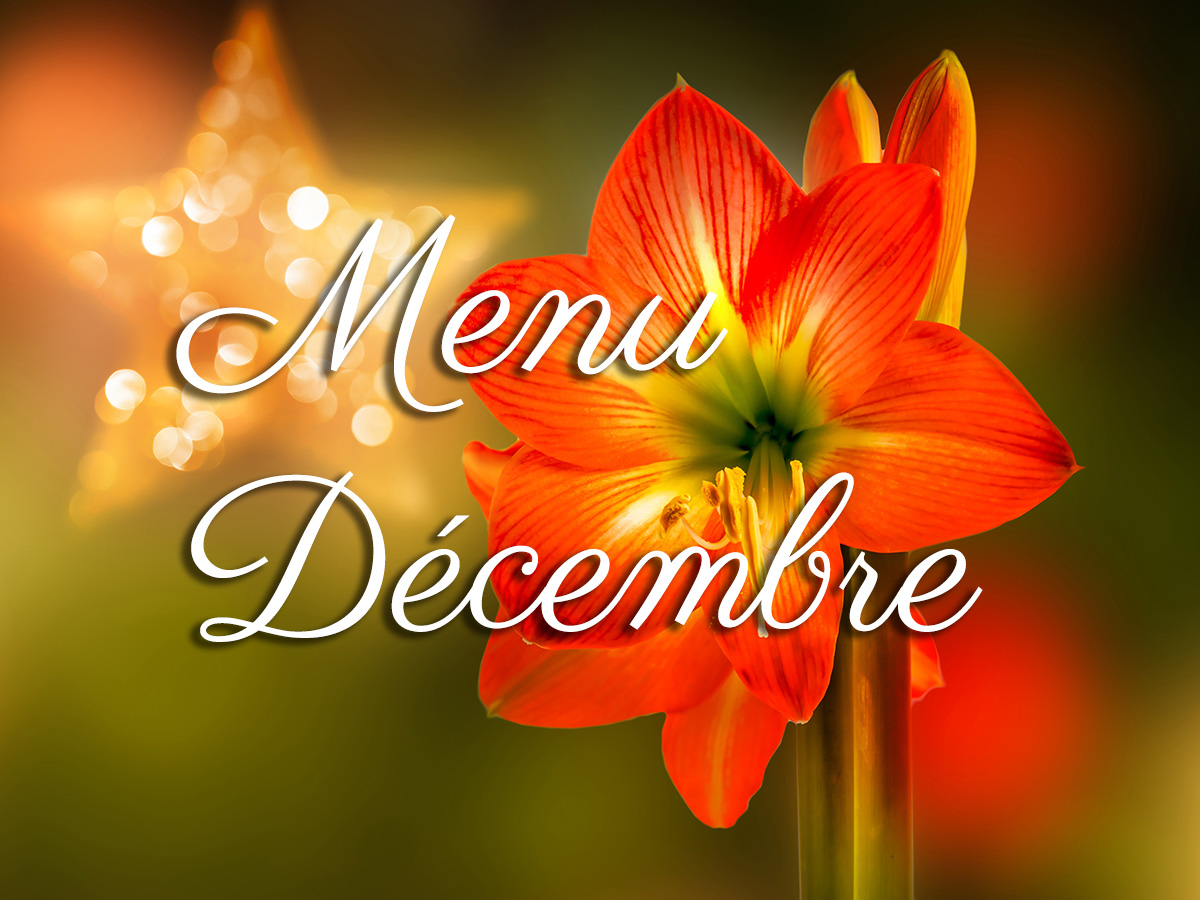 Lire la suite à propos de l’article Le nouveau menu du mois de décembre est en ligne