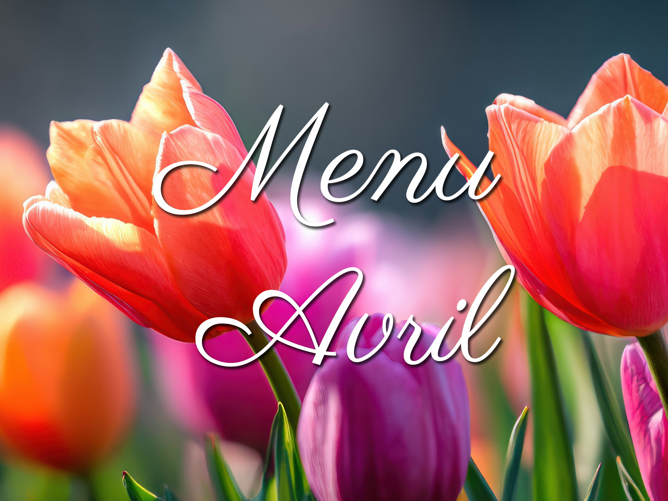 Lire la suite à propos de l’article Le nouveau menu du mois d&rsquo;avril est en ligne