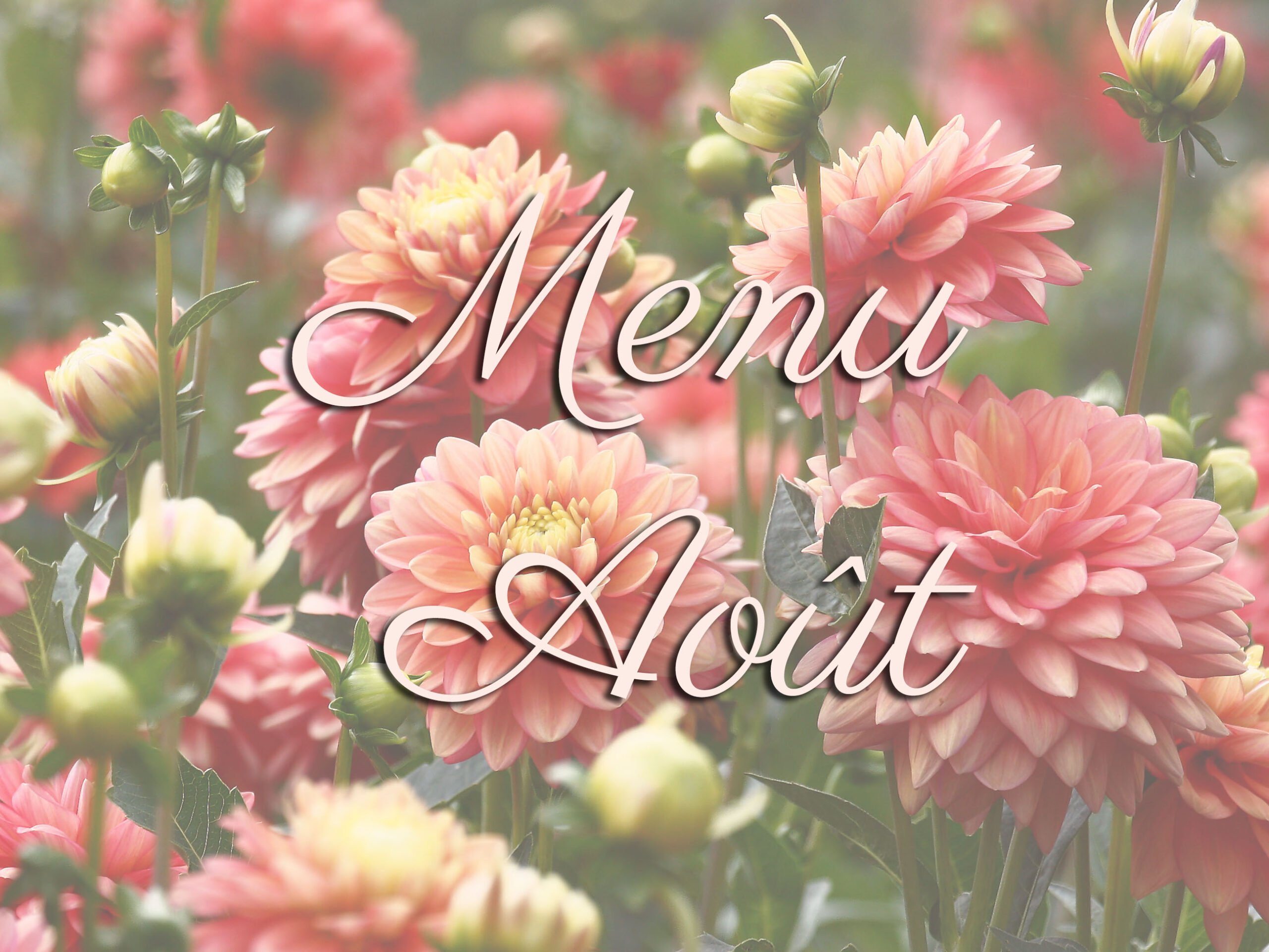 Lire la suite à propos de l’article Le nouveau menu du mois d&rsquo;août est en ligne